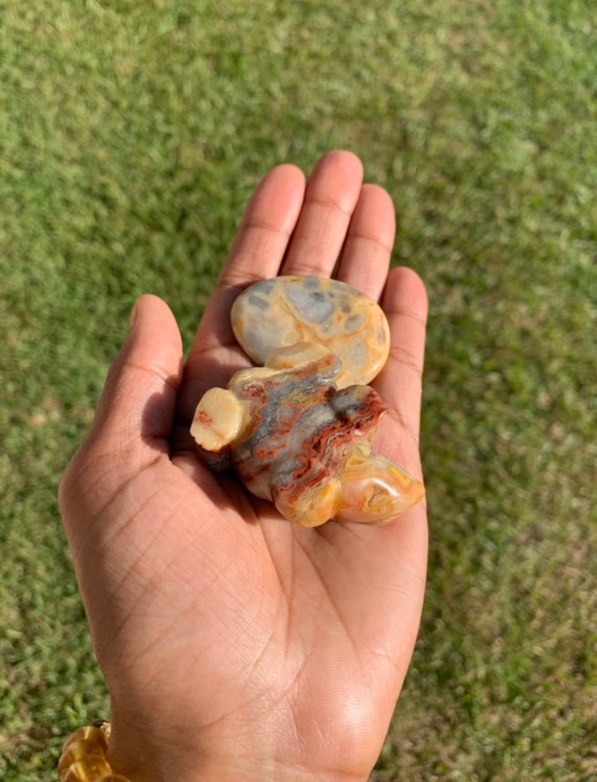 Crazy Lace Agate Frog & Worry Stone Set