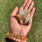 Crazy Lace Agate Frog & Worry Stone Set