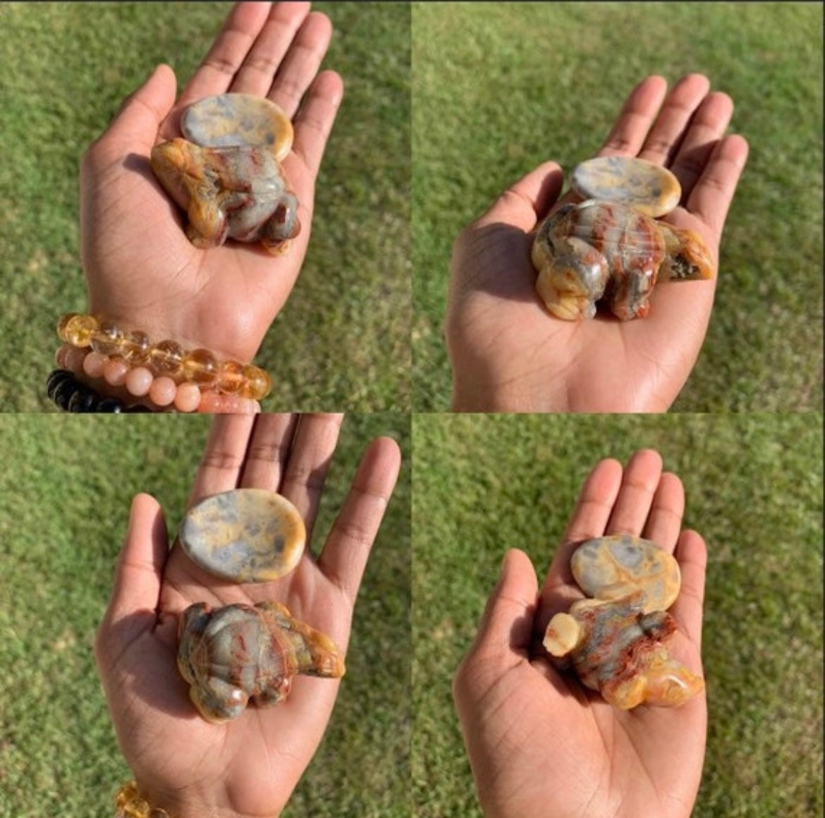 Crazy Lace Agate Frog & Worry Stone Set