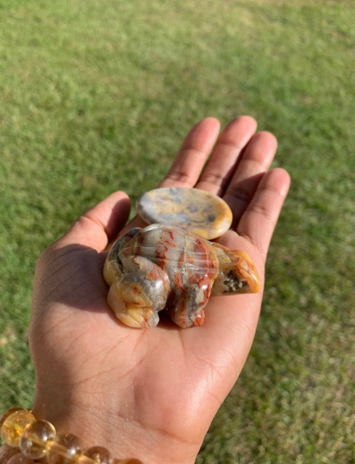 Crazy Lace Agate Frog & Worry Stone Set